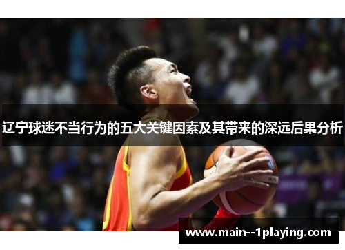 辽宁球迷不当行为的五大关键因素及其带来的深远后果分析 辽宁球迷不当行为的五大关键因素及其带来的深远后果分析